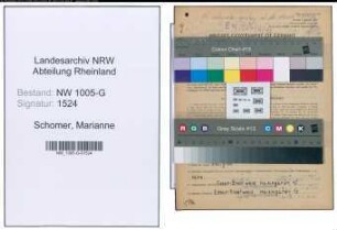 Entnazifizierung Marianne Schomer , geb. 01.02.1920 (Dolmetschersekretaerin)