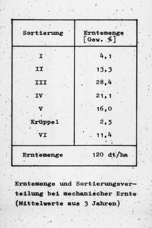 Erntemenge und Sortierungsverteilung bei mechanischer Ernte (Mittelwerte aus 3 Jahren)