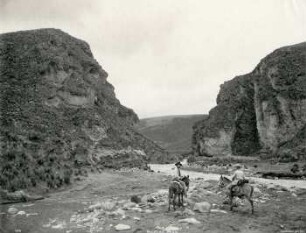 Unterhalb des Palmyrapasses