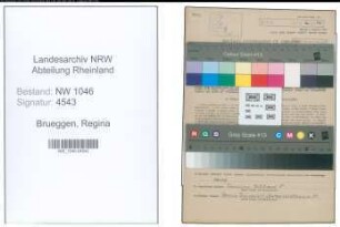 Entnazifizierung Regina Brueggen , geb. 05.06.1895 (Lehrerin)