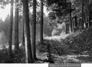 Waldweg (Grumbacher Planie)