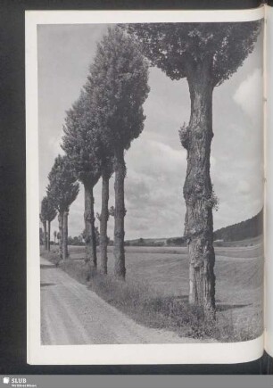 Pappelallee