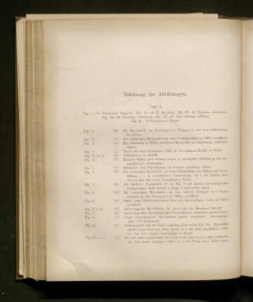 Erklärung der Abbildungen