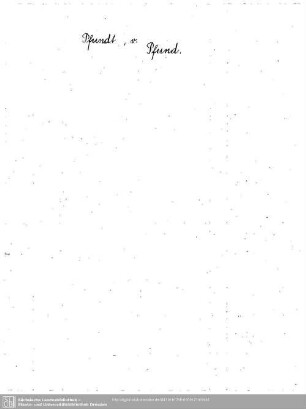 Pfundt