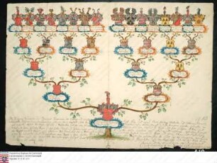 Ahnenprobe des Lothar Franz Specht v. Zwiefalten. - ausgefertigt (1751 Oktober 13), Papier, vergl.409