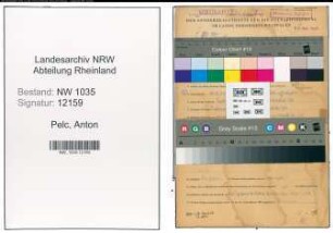Entnazifizierung Anton Pelc , geb. 11.05.1901 (Arbeiter)