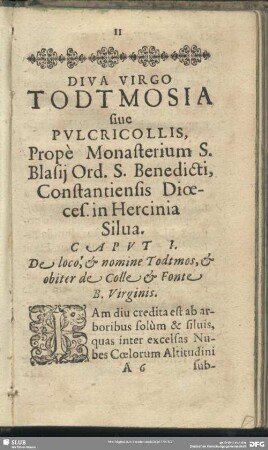 Diva Virgo Todtmosia sive Pulcricollis, Prope Monasterium S. Blasii Ord. S. Benedicti, Constantiensis Dioeces. in Hercinia Silva