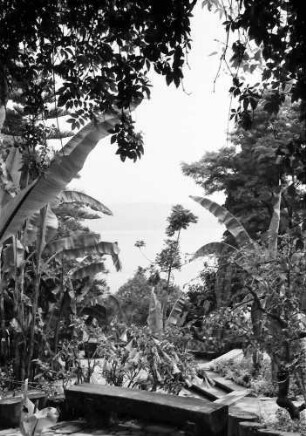 17. Tagung 1967 Chemiker; Maikäferrede: Vegetation Rundblick zum See