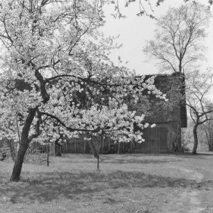 Strohgedecktes Blockhaus des Gehöftes Löwa in Burg-Kauper. : Ze słomu skryte kładźite twar Löwec statoka w Kupaŕskich Bórkowach.