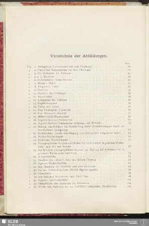 Verzeichnis der Abbildungen