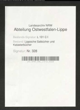 Salbuch der Stadt Lemgo von 1861, Bd. 6