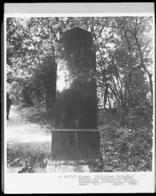 Grabstein von Jeannette Tribus (gestorben 1936)