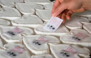 Frankreich. Haute Normandie. Seine Maritime. Nesle Hodeng. Ferme Gäc Brianchon. Käseproduzent von Neufchatel fermier AOC. Käseproduktion. Gereifter Käse wird für den Verkauf etikettiert