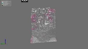 Supplementary Fig. 4: 3D tomographic image of deformed DHC-23 layered sample