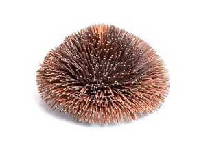 Brosche "tephilia rosé"