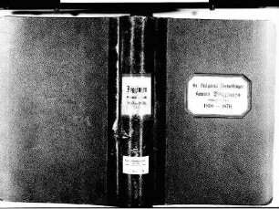 Döggingen, Bräunlingen VS; Katholische Gemeinde: Geburtenbuch 1810-1870