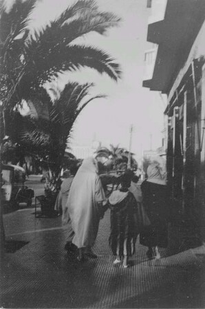 Reisefotos Marokko. Straßenbild mit Palmen