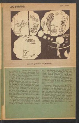 Los sueños: el del pájaro carpintero - [Dibujo]