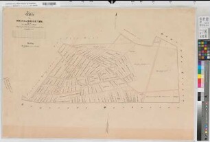 Ladbergen (Ladbergen), Teilung der Hölter und Wester Mark, Bl.1 Reinkarte