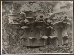 Antikes Säulenkapitell : Antikes Säulenkapitell. Marmor. Römerfund aus Dalmatien. Fotografie (17,9 x 13 cm). ehem. Besitz Max Klingers, Abbildung 13 aus: Fotoalbum von 1931 zum Verkauf angebotenen antiken Gegenständen. Dresden: SLUB Mscr.Dresd.App.1353,D,III,a-l