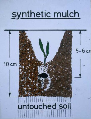 Synthetic mulch and untouched soil