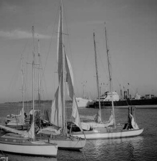 Stralsund. Hafen, im Vordergrund Segelschiffe, im Hintergrund weitere Schiffe