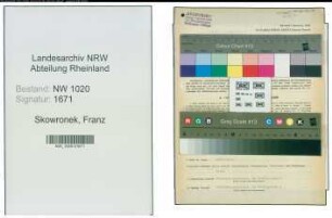Entnazifizierung Franz Skowronek , geb. 08.01.1905 (Ingenieur)