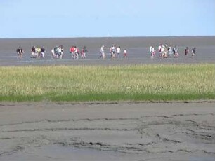 Wattenmeer vor der Nordseeinsel Baltrum : Menschen wandern im Wattenmeer vor der Nordseeinsel Baltrum, aufgenommen 2004