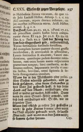 238-246, Cap. XXXI