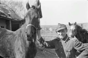 Zweiter Weltkrieg. Zur Einquartierung. Sowjetunion. Angehöriger der deutschen Wehrmacht mit einem Reitpferd
