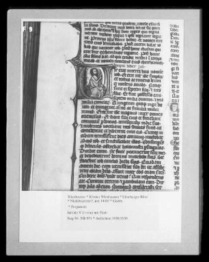 Lüneburger Bibel — Initiale V (ir erat) mit Hiob