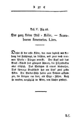 ¬Der¬ ganz kleine Mist-Käfer : Scarabaeus fimetarius, Linn ; Taf. V, Fig. 28
