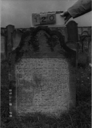 Grabstein 120 (Index: 100107355) Material: gelber Sandstein Zustand: stark verwittert, versalzen, bewachsen Maße HxBxT: 105x68x13 cm Beschreibung: Stele, Abschluß in drei Bögen, konkav eingezogen, Schriftfeld rechteckig eingezogen: Grabstein 120