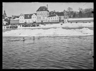 Schwimmer vor der Brauerei Lutz im teilweise zugefrorenen Main