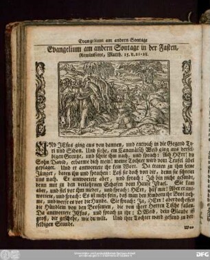 Evangelium am andern Sontage in der Fasten, Reminiscere, Matth. 15. v. 21:28.