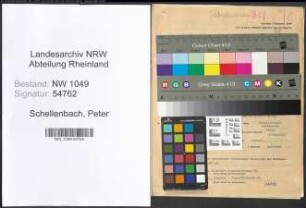 Entnazifizierung Peter Schellenbach , geb. 10.08.1889 (Kaufmann)