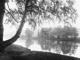 An der Mulde bei Colditz