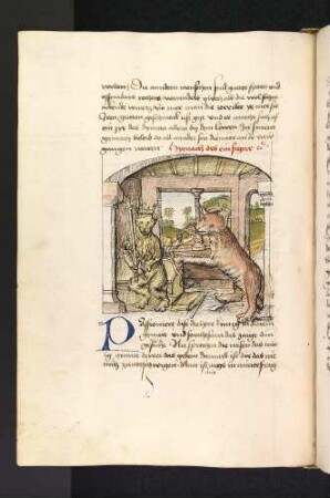Dimna vor dem Löwenkönig; (Kapitel II: Von dem Löwen und dem Ochsen)