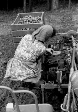 Halbaut. Legemaschine am Fendt GT, ungünstige Haltung beim einlegen