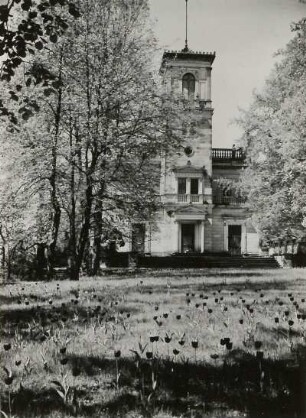 Dresden, Schloß Albrechtsberg. Wiese mit blühenden Tulpen vor dem Schloßturm