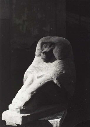 Sitzender Affe