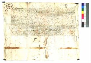 Aussteller: Graf Erhart von Nellenburg