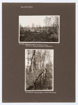 Referenzmappe 3/17 des Fotografen Walter Möbius : Mappenblatt 83 mit zwei Fotografien (Neudorfer Moor (Flachmoor) bei Wittichenau)