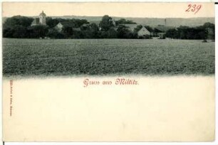 Miltitz. Ansicht