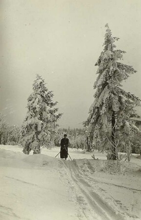 Winter im Erzgebirge. Auf der Heimfahrt. Skiläufer bei Schellerhau