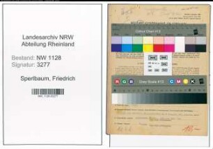 Entnazifizierung Friedrich Sperlbaum , geb. 16.08.1898 (Polizist)