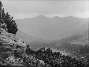 Bergtal : Blick in ein bewaldetes Bergtal