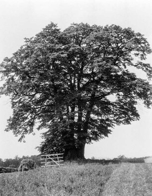 Umgebung von Grünberg