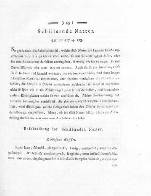 Schillernde Natter