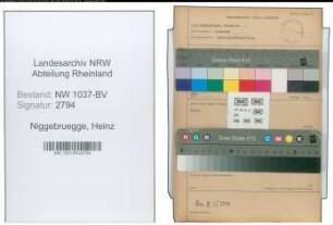Entnazifizierung Heinz Niggebruegge , geb. 12.03.1910 (Zahnarzt)